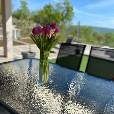 Infinity View